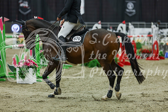 2025 - Shea - Royal West - Saturday October 25th - 12264