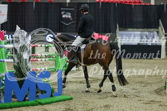 2025 - Shea - Royal West - Saturday October 25th - 12267