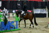 2025 - Shea - Royal West - Saturday October 25th - 12266