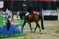 2025 - Shea - Royal West - Saturday October 25th - 12268