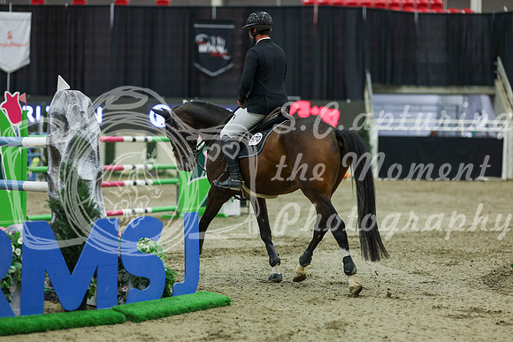 2025 - Shea - Royal West - Saturday October 25th - 12268