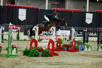 2025 - Shea - Royal West - Saturday October 25th - 12271