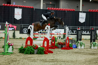 2025 - Shea - Royal West - Saturday October 25th - 12272