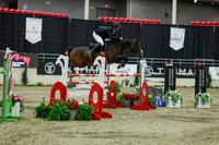 2025 - Shea - Royal West - Saturday October 25th - 12273