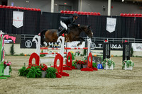 2025 - Shea - Royal West - Saturday October 25th - 12274