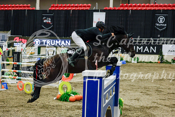 2025 - Haylee - Royal West - Saturday October 25th - 13416