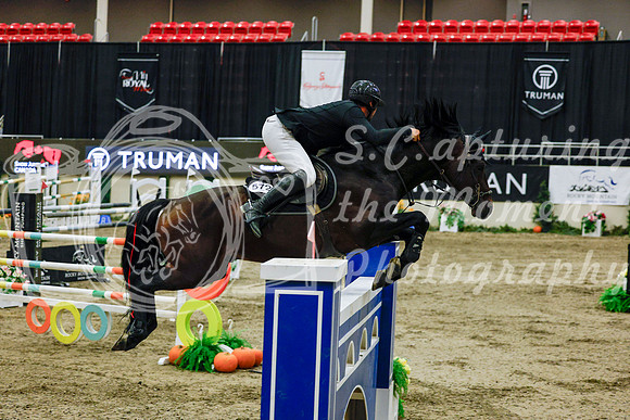 2025 - Haylee - Royal West - Saturday October 25th - 13418