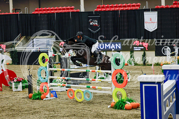 2025 - Haylee - Royal West - Saturday October 25th - 13420