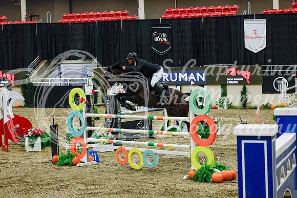 2025 - Haylee - Royal West - Saturday October 25th - 13421