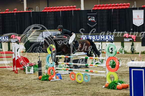 2025 - Haylee - Royal West - Saturday October 25th - 13428