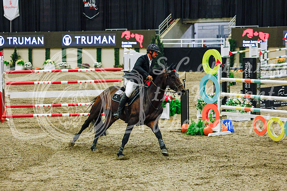 2025 - Haylee - Royal West - Saturday October 25th - 13447