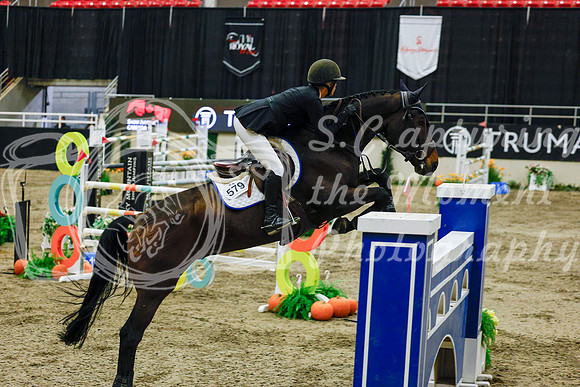 2025 - Haylee - Royal West - Saturday October 25th - 13256