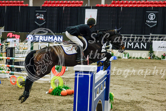 2025 - Haylee - Royal West - Saturday October 25th - 13261
