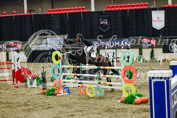 2025 - Haylee - Royal West - Saturday October 25th - 13265