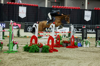 2025 - Shea - Royal West - Saturday October 25th - 11570