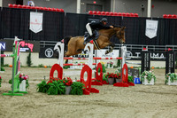 2025 - Shea - Royal West - Saturday October 25th - 11571