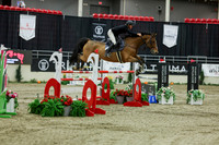 2025 - Shea - Royal West - Saturday October 25th - 11574