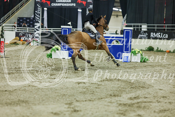 2025 - Shea - Royal West - Saturday October 25th - 11579