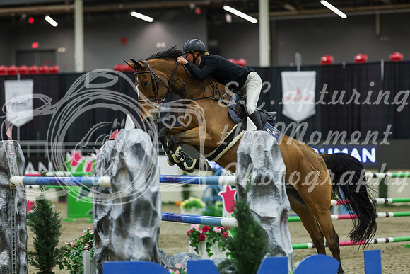 2025 - Shea - Royal West - Saturday October 25th - 11580