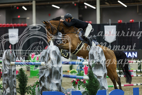 2025 - Shea - Royal West - Saturday October 25th - 11581