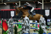 2025 - Shea - Royal West - Saturday October 25th - 11584