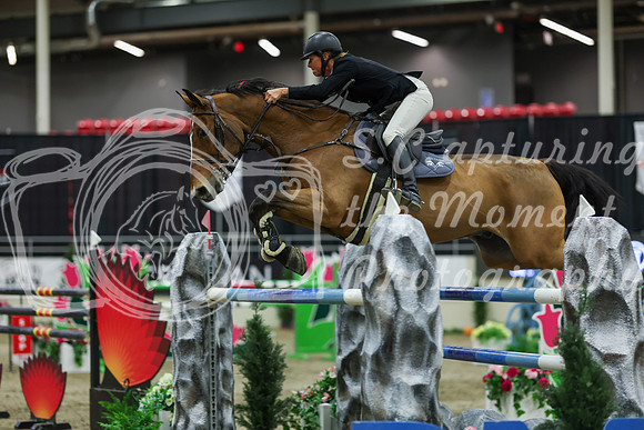 2025 - Shea - Royal West - Saturday October 25th - 11586