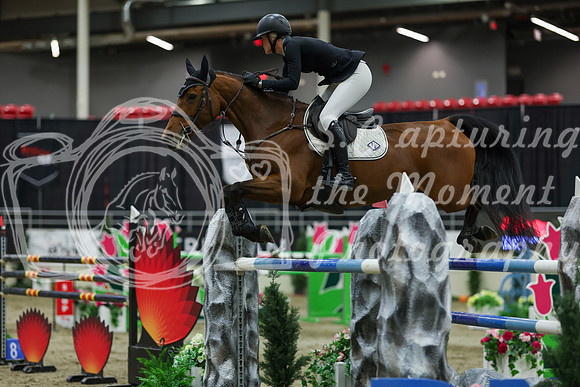 2025 - Shea - Royal West - Saturday October 25th - 12544