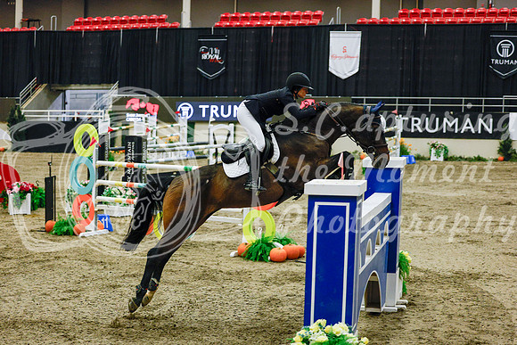 2025 - Haylee - Royal West - Saturday October 25th - 13211