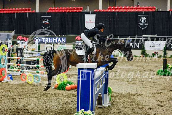 2025 - Haylee - Royal West - Saturday October 25th - 13216