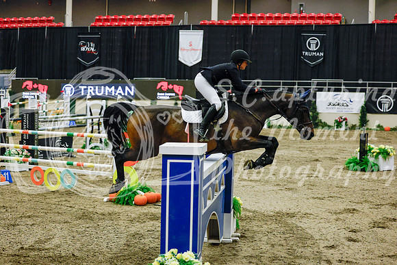 2025 - Haylee - Royal West - Saturday October 25th - 13218