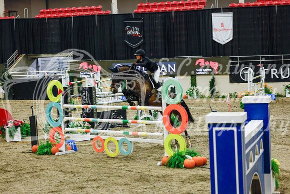2025 - Haylee - Royal West - Saturday October 25th - 13219