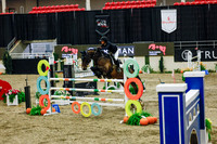 2025 - Haylee - Royal West - Saturday October 25th - 13220