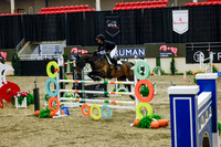 2025 - Haylee - Royal West - Saturday October 25th - 13224