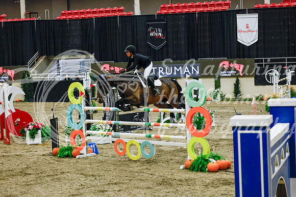 2025 - Haylee - Royal West - Saturday October 25th - 13226