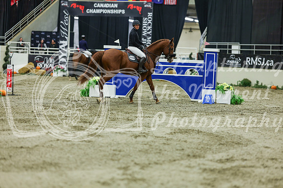 2025 - Shea - Royal West - Saturday October 25th - 11699
