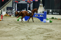 2025 - Shea - Royal West - Saturday October 25th - 11700