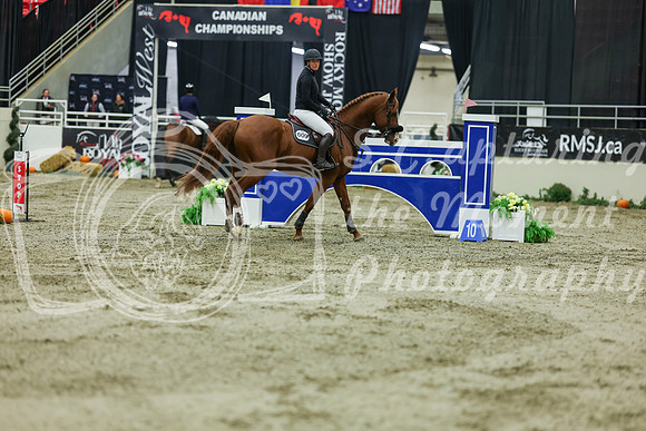 2025 - Shea - Royal West - Saturday October 25th - 11700