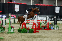 2025 - Shea - Royal West - Saturday October 25th - 11702