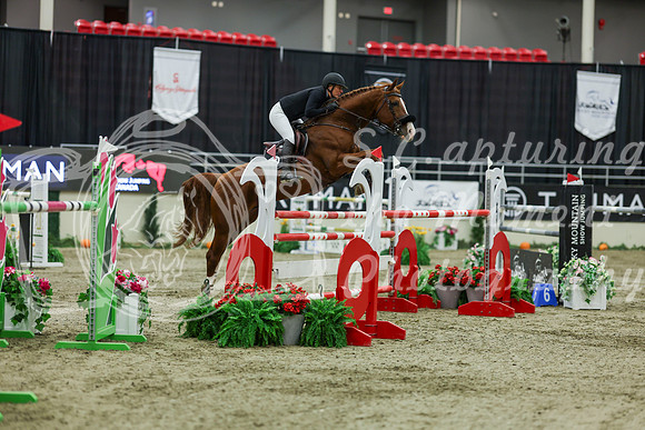 2025 - Shea - Royal West - Saturday October 25th - 11702