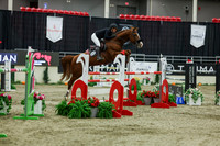 2025 - Shea - Royal West - Saturday October 25th - 11703