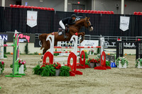 2025 - Shea - Royal West - Saturday October 25th - 11704