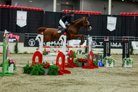 2025 - Shea - Royal West - Saturday October 25th - 11707