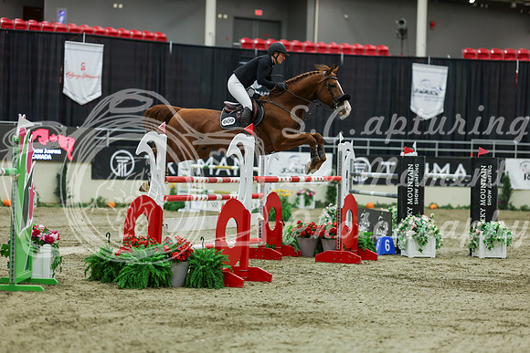 2025 - Shea - Royal West - Saturday October 25th - 11707