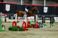2025 - Shea - Royal West - Saturday October 25th - 11708