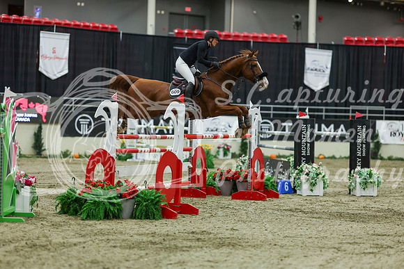 2025 - Shea - Royal West - Saturday October 25th - 11708