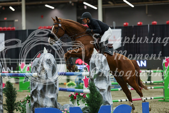 2025 - Shea - Royal West - Saturday October 25th - 11711