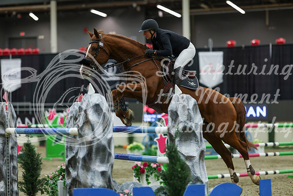 2025 - Shea - Royal West - Saturday October 25th - 11712