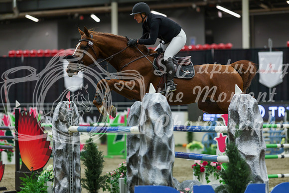 2025 - Shea - Royal West - Saturday October 25th - 11717