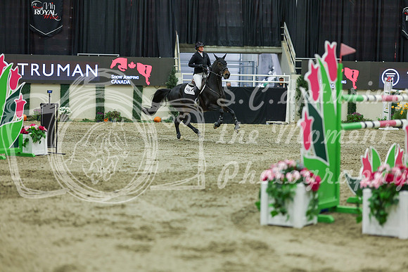 2025 - Shea - Royal West - Saturday October 25th - 12715