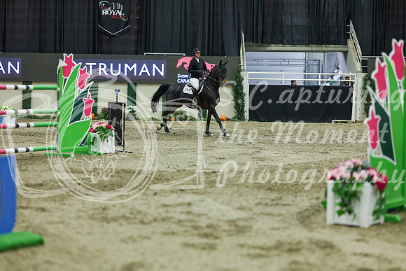 2025 - Shea - Royal West - Saturday October 25th - 12713
